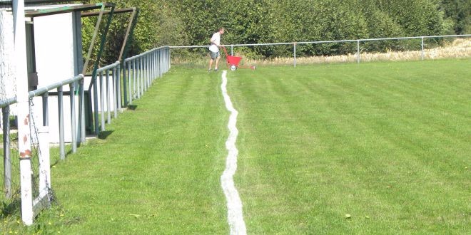 Vis ma vie de correspondante sportive